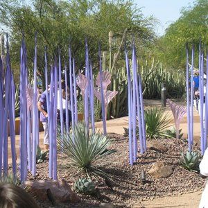 Meet your Posher, Anne